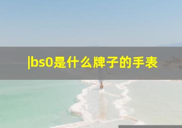 |bs0是什么牌子的手表